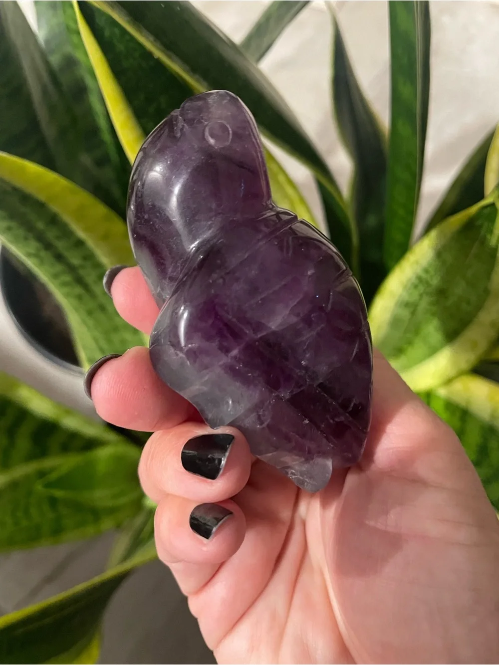 Large purple fluorite polished crystal sea turtle
